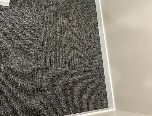 10(图1)